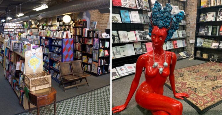 This Quirky Illinois Shop Is Packed With Rare Zines, Indie Books, Comics, and Unexpected Treasures