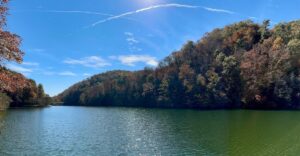 This Tennessee Park Has Over 2,200 Acres, Live Animals, And Costs Just $2 To Enter