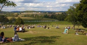 This Tennessee Vineyard Near Nashville Pairs Wine Flights With Hillside Picnics
