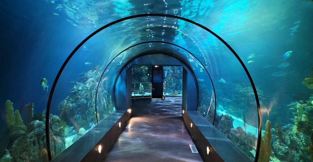 This Texas Aquarium Pyramid Is One Of The Wildest Family Attractions In The State