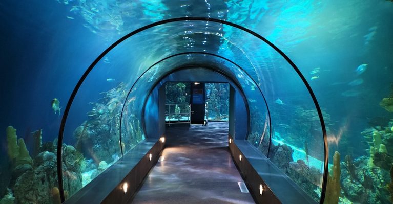 This Texas Aquarium Pyramid Is One Of The Wildest Family Attractions In The State