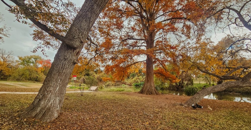 This Texas Trail Connects Five Historic San Antonio Missions In One Unforgettable Trip