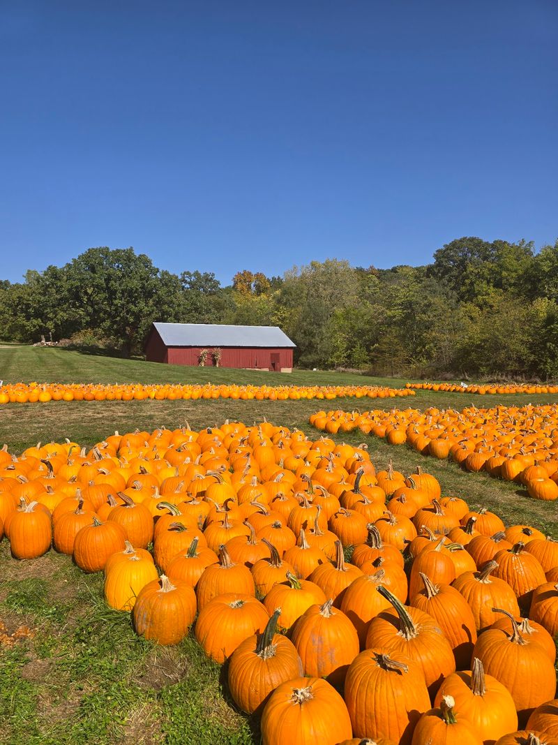 Dollinger Family Farm (Channahon) Dollinger Family Farm (Channahon)