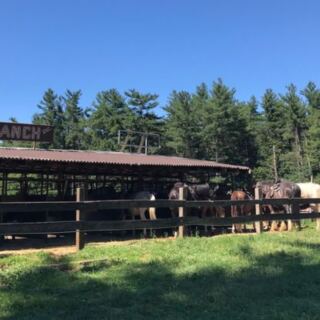 You Don’t Need Riding Experience To Enjoy This Family-Owned Massachusetts Ranch