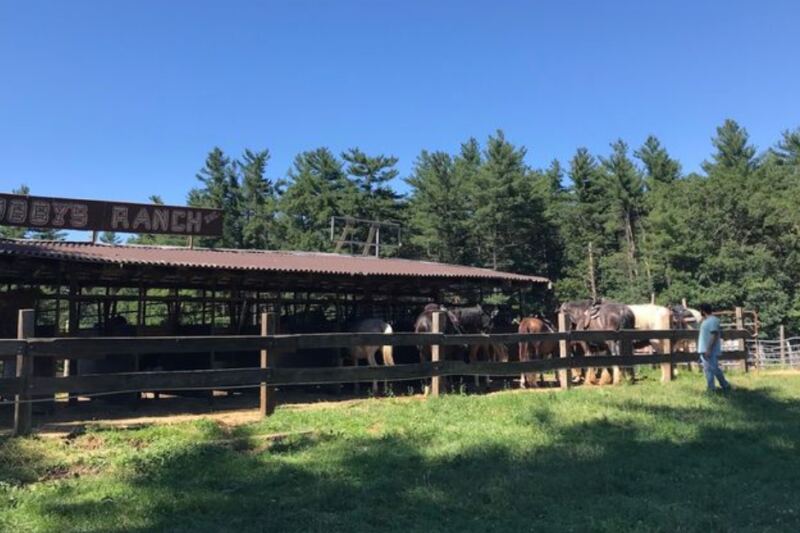 You Don’t Need Riding Experience To Enjoy This Family-Owned Massachusetts Ranch