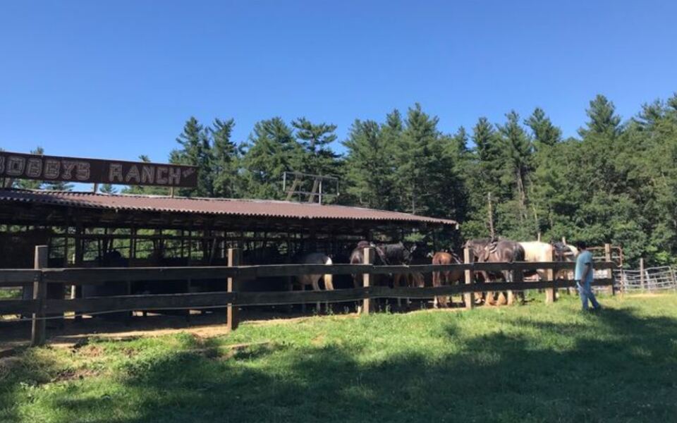 You Don’t Need Riding Experience To Enjoy This Family-Owned Massachusetts Ranch