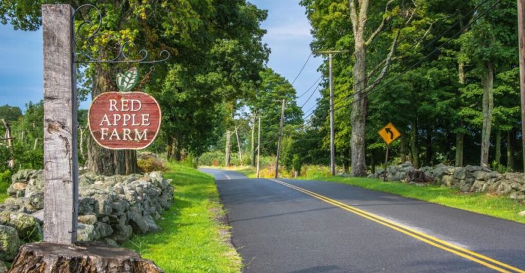 Your Fall Deserves A Donut Detour To These 11 Massachusetts Cider Donut Stops