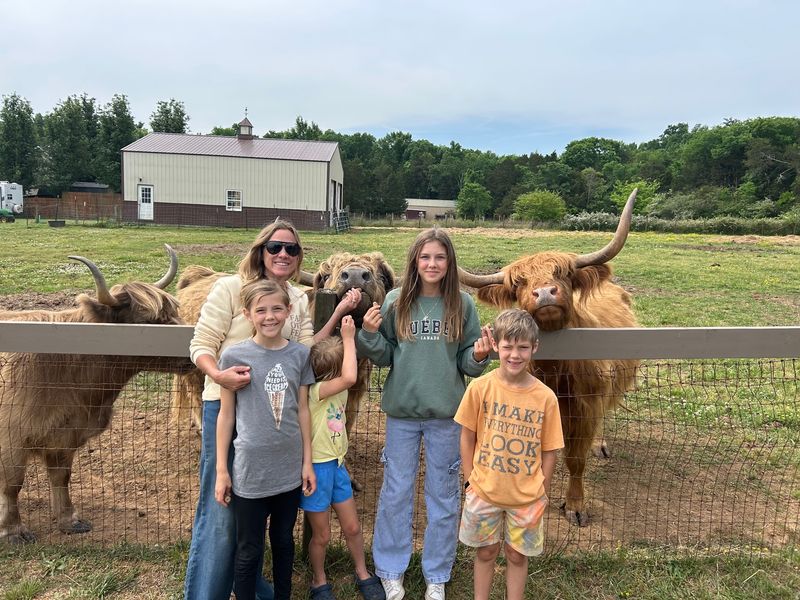 A Gentle Farm Adventure The Whole Family Can Enjoy