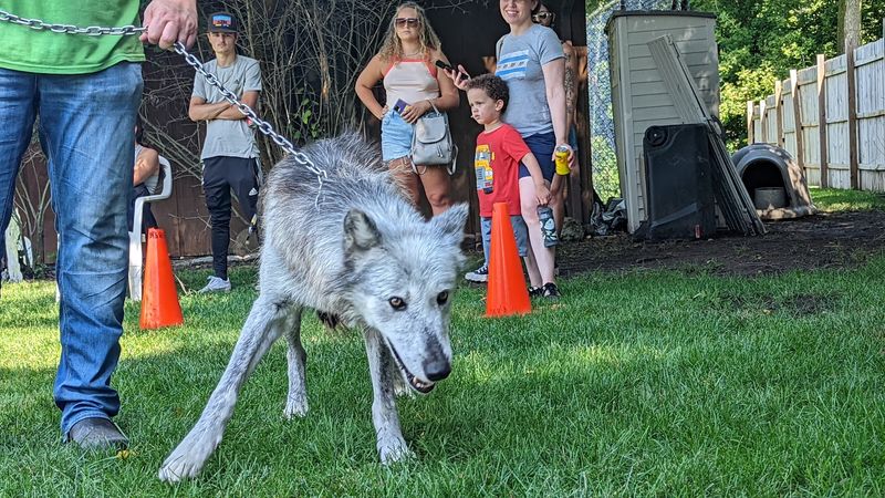 Open House Day: How to Do It Right